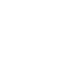 flower.png