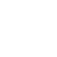 forest.png