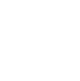 mushroom.png